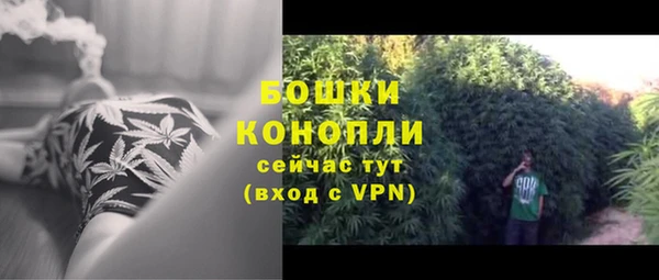 спайс Каменка