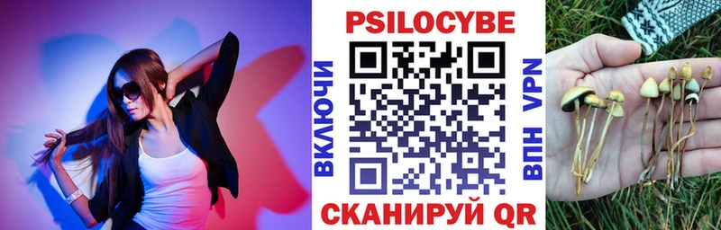 ссылка на мегу маркетплейс  хочу наркоту  Жуковский  Галлюциногенные грибы MAGIC MUSHROOMS 